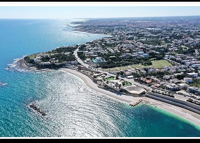 Daire Rossella's